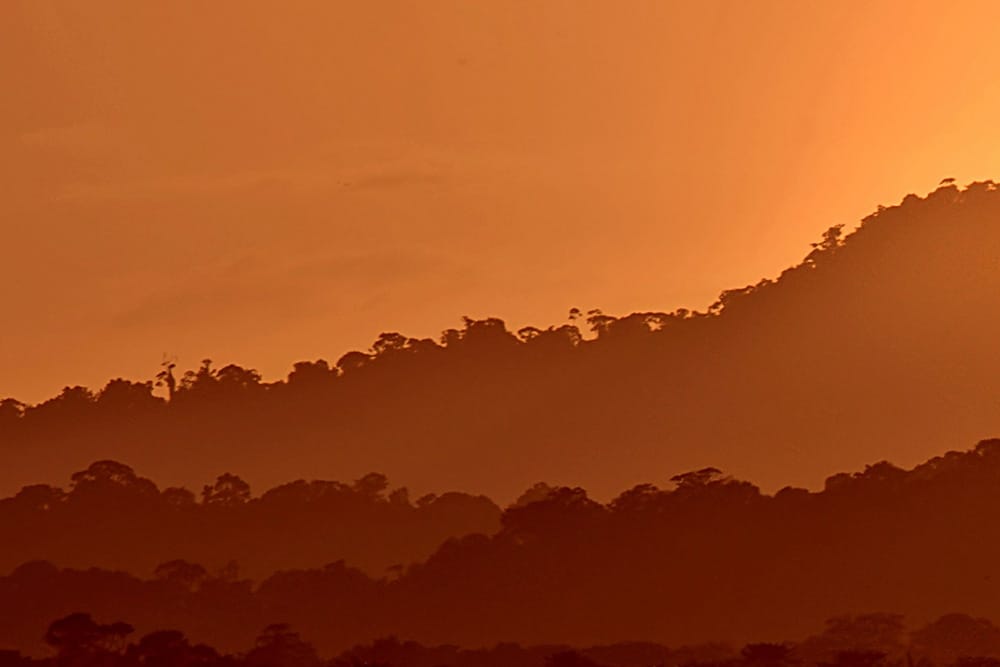 flying a drone in Guyana
