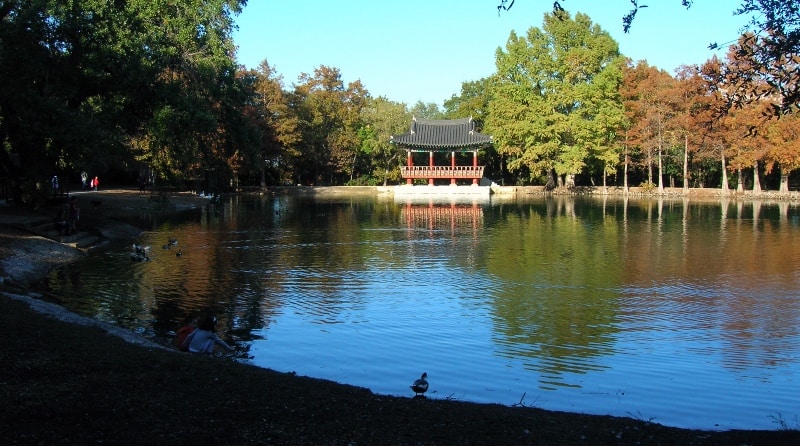 fly drone Denman estate park