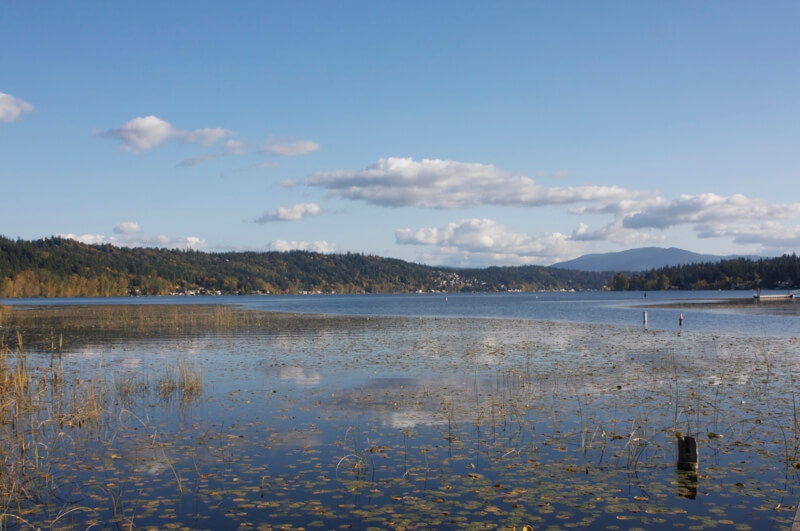 fly drone Marlow park