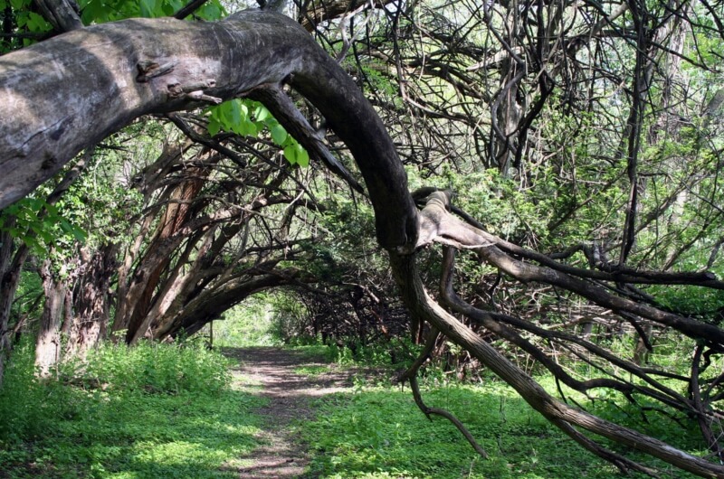 fly drone leakin park