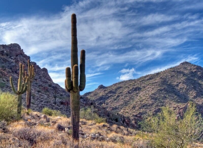 fly drone white tank
