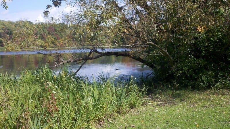 fly drone Horseshoe Lake