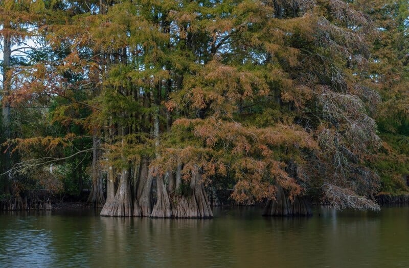 fly drone Stumpy Lake