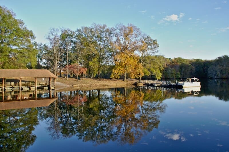 fly drone Poplar Tree Lake