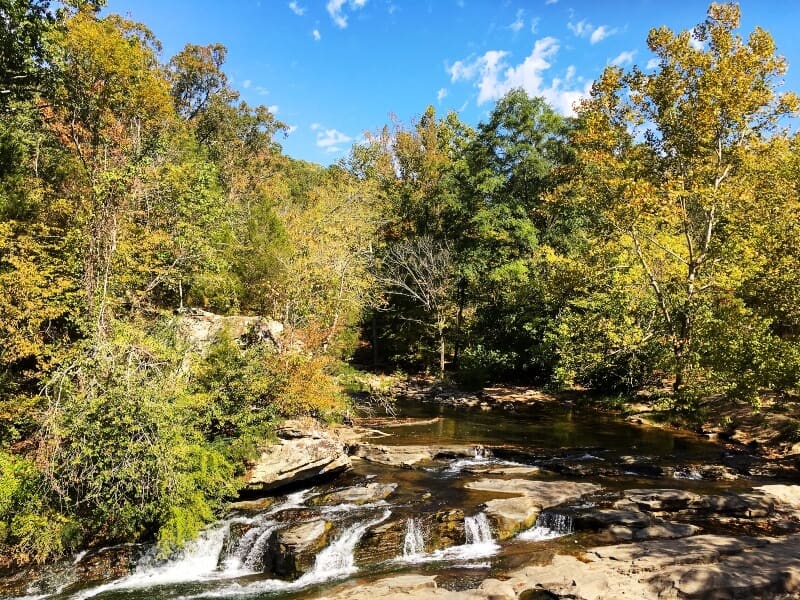 fly drone Turkey Creek Nature Preserve