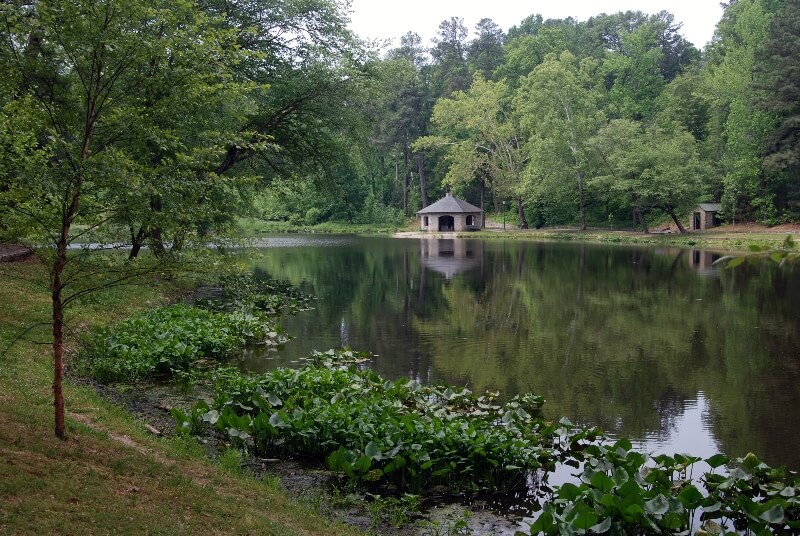 fly drone Forest Hill Park