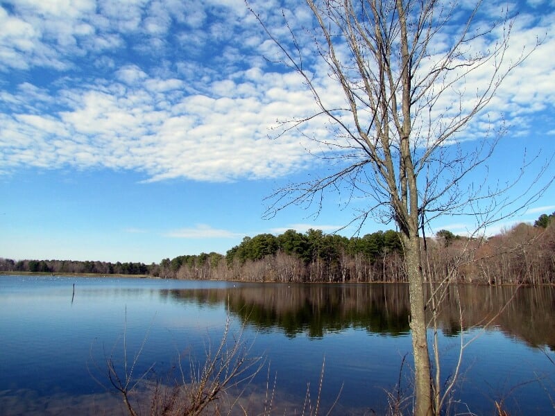 fly drone Fred G. Bond Metro Park