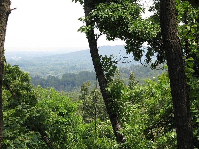 fly drone Jefferson Memorial Forest