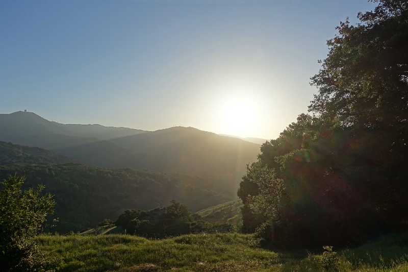 Fly Drone Almaden Quicksilver County Park