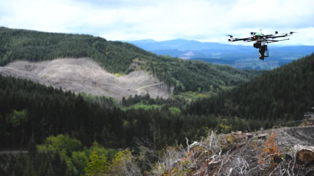 droneseed-reforestation-bvlos