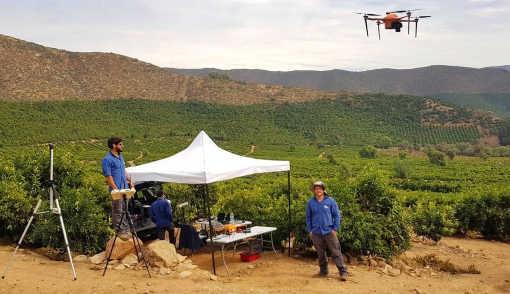 seetrees-drones-tree-precision-ag
