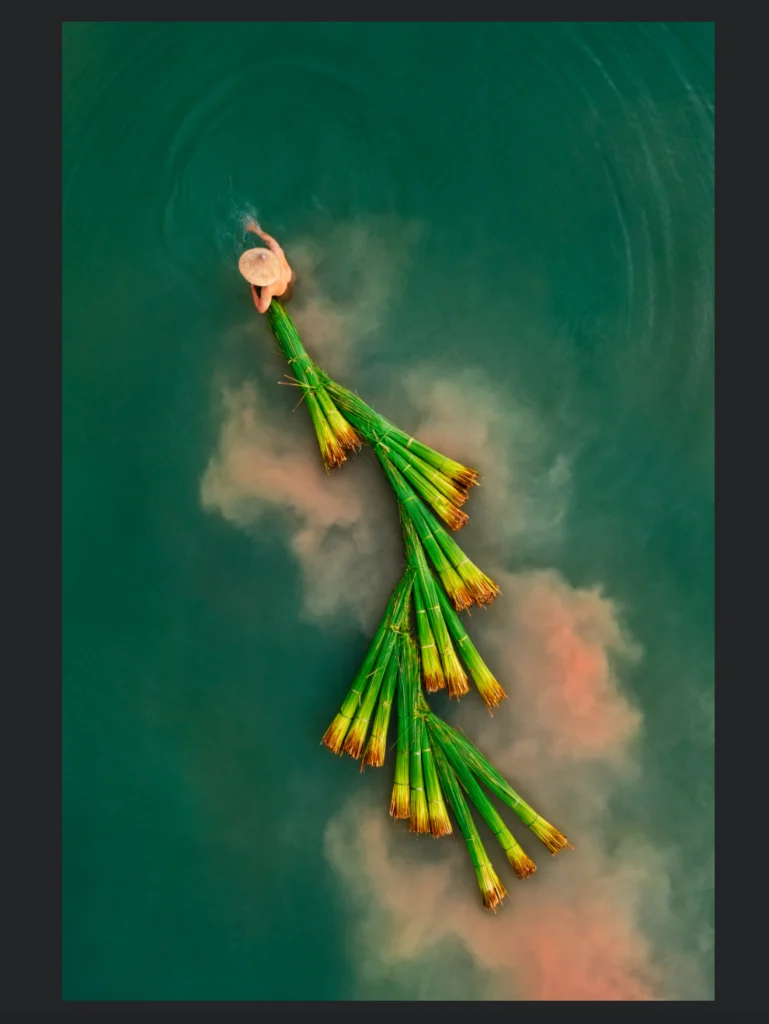 skypixel-collecting-bang-grass