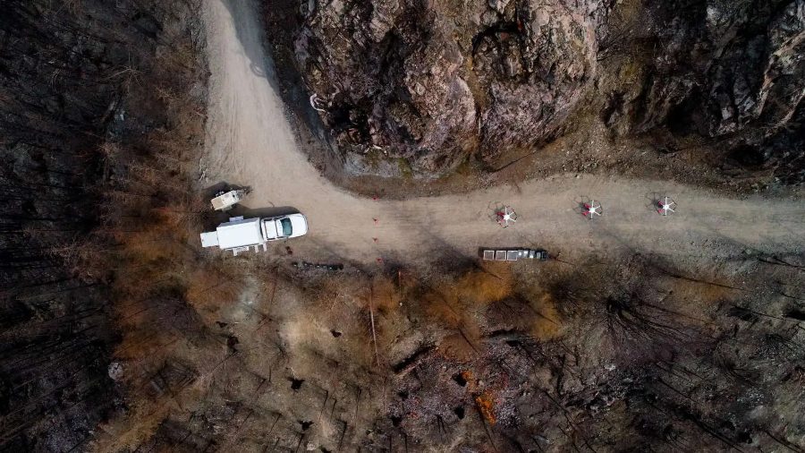 droneseed-carbon-offset