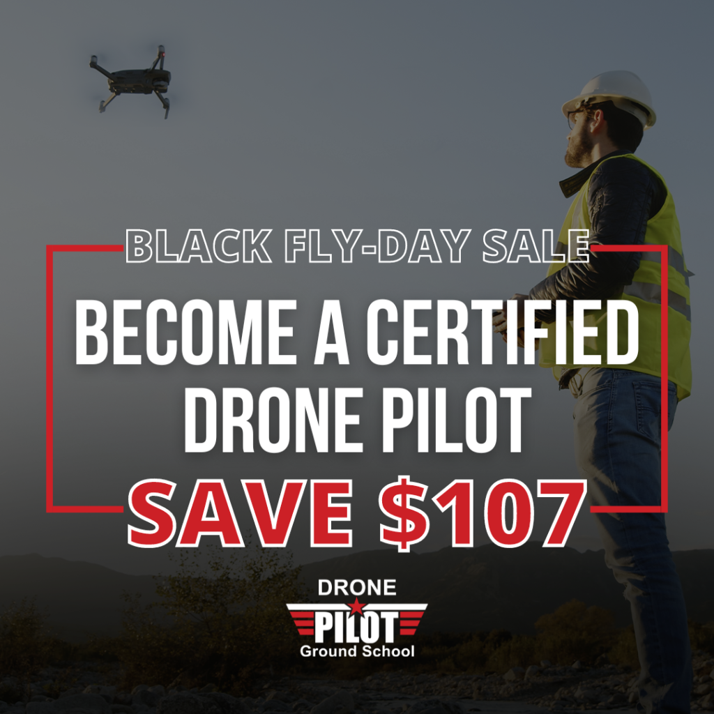 BLACK FLY-DAY SALE Paid IG