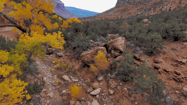 dynamic-gimbal-roll-skydio