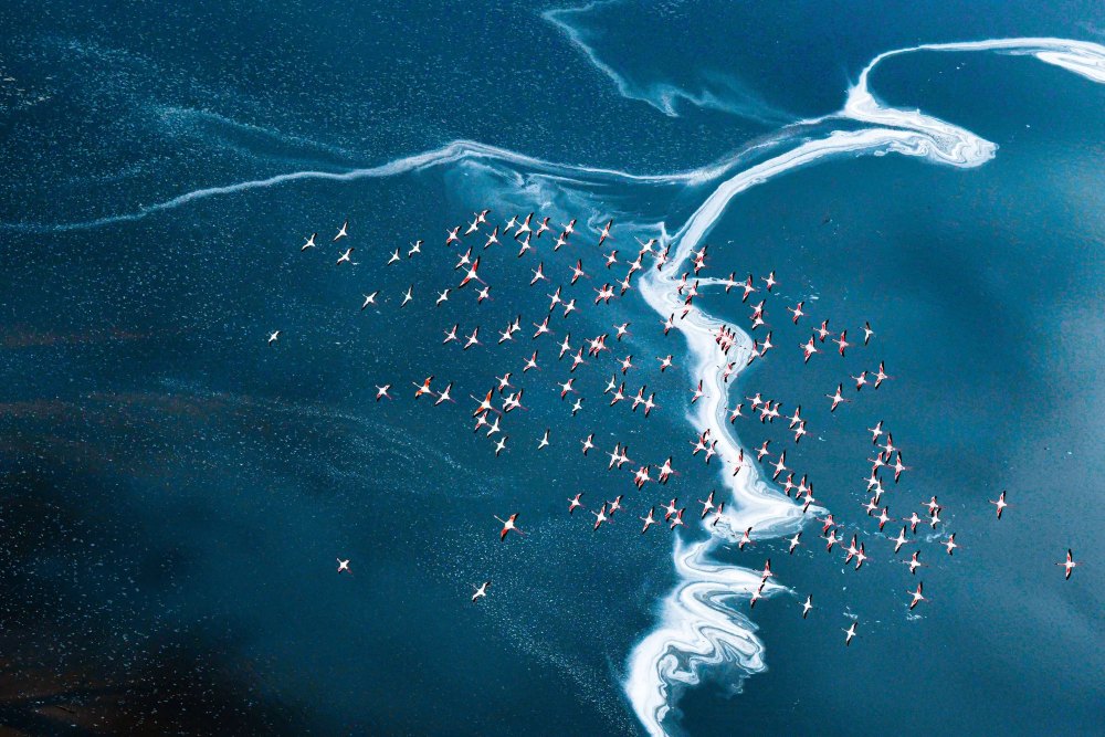 migration-8th-skypixel