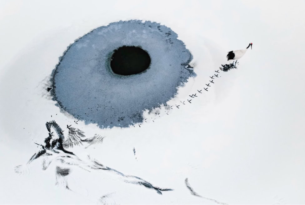 skypixel-10-winning-photo