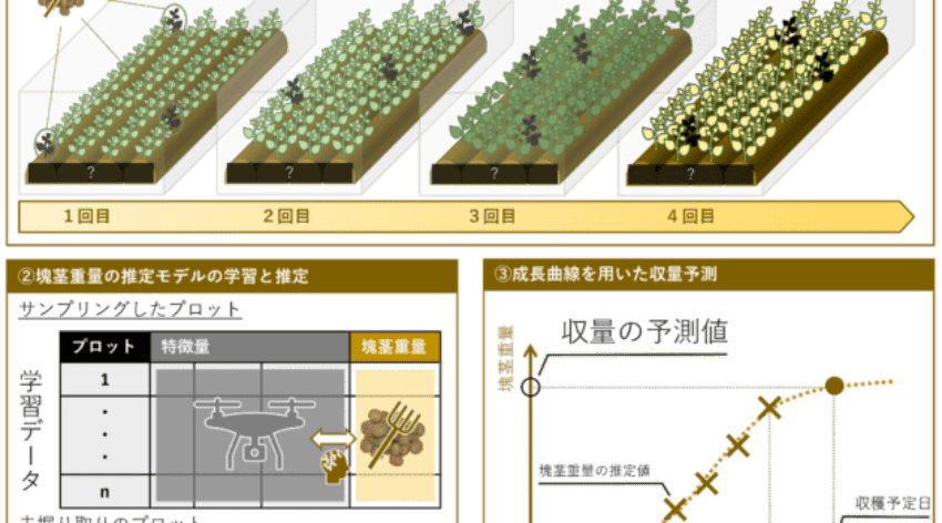 drones-potato-yield-japan